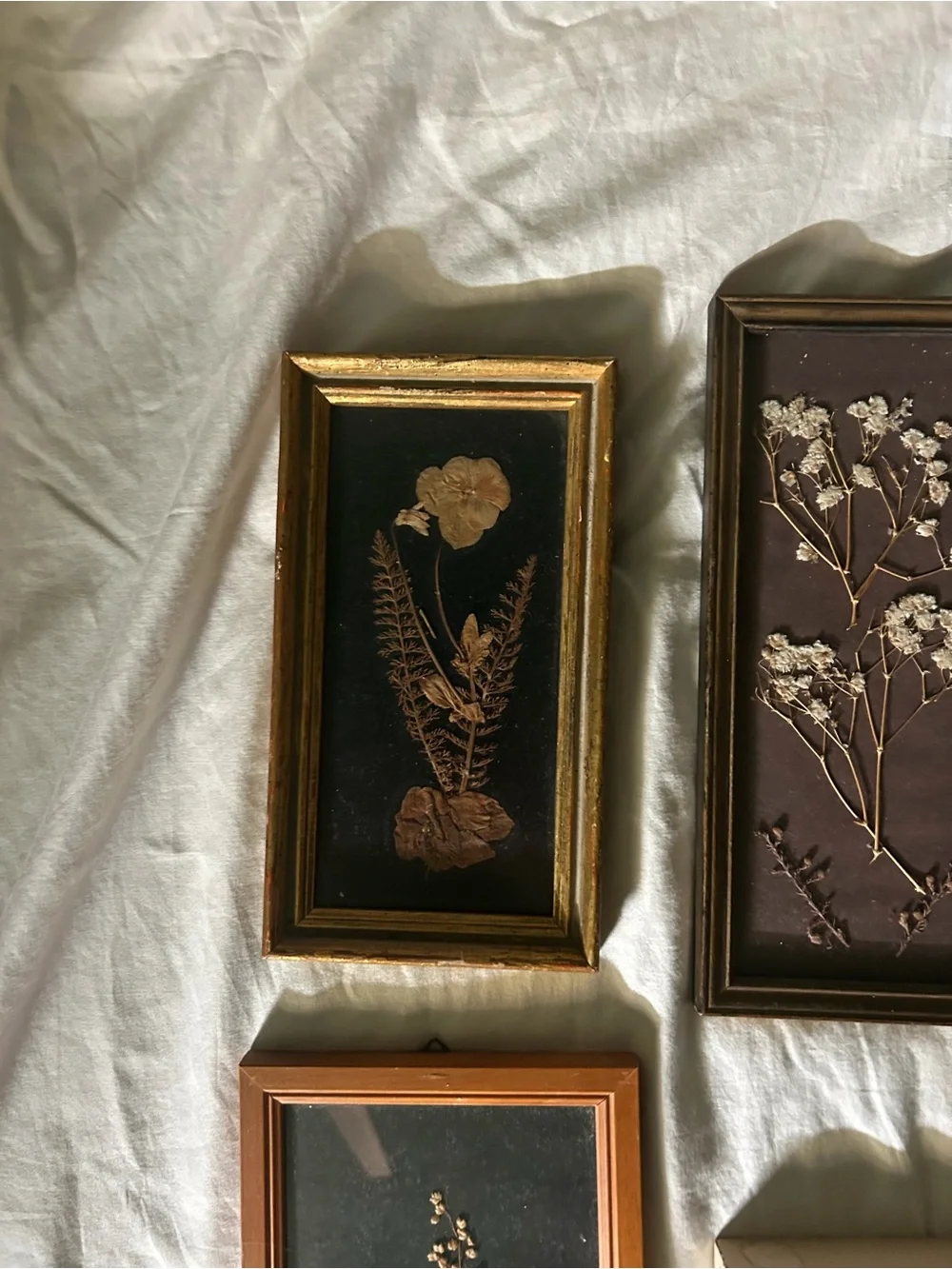 Vintage Framed Dried Floral Wall Art Collqge